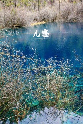 酒吧KTV系统的个性化定制:满足不同需求的解决方案
