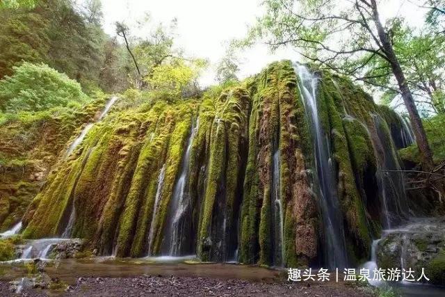 包子蒸出来怎么会发黄游戏画面